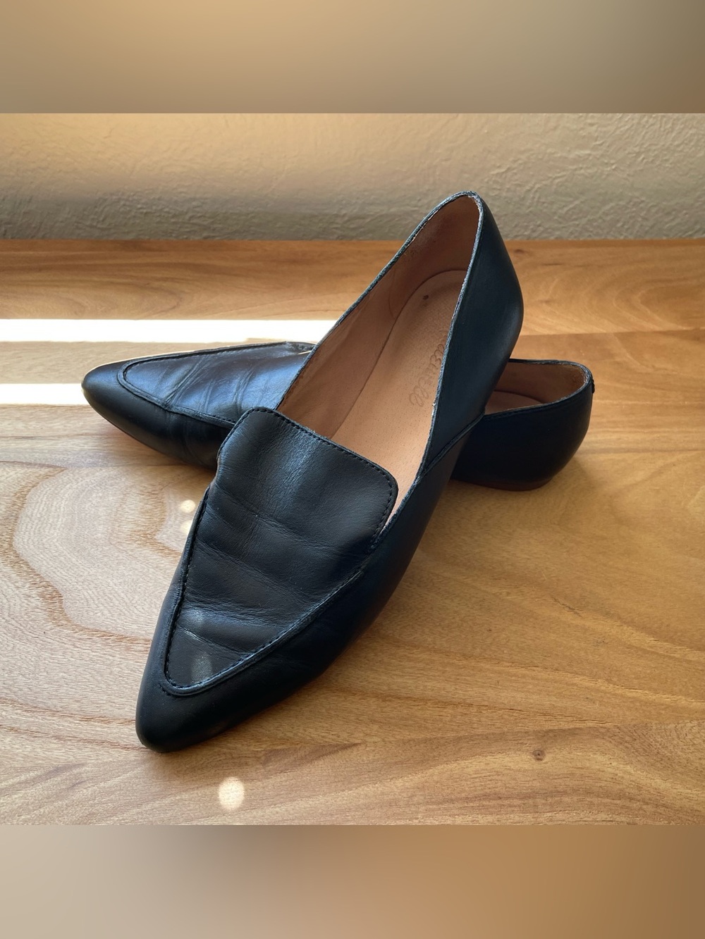 Madewell The Frances Skimmer in Leather